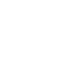 Web Icon